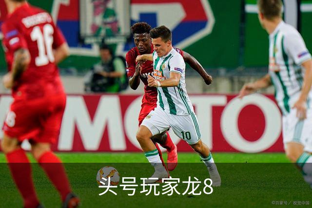 头号玩家龙8公司简介